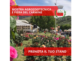Fiera del Carmine | Massarosa