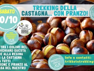 Trekking della Castagna con pranzo al Rifugio la Casa del Maestro