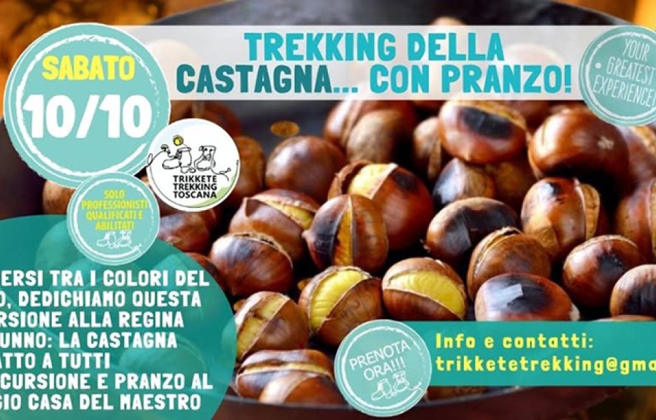 Trekking della Castagna con pranzo al Rifugio la Casa del Maestro