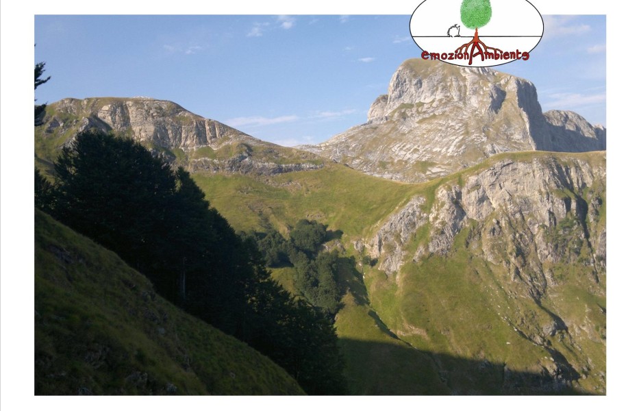 I segreti del bosco del Fato Nero
