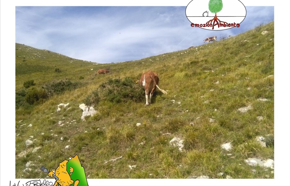 Le Vie oltre il Tordello: i panorami del monte Matanna