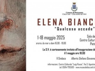 Qualcosa accade - Elena Bianchini