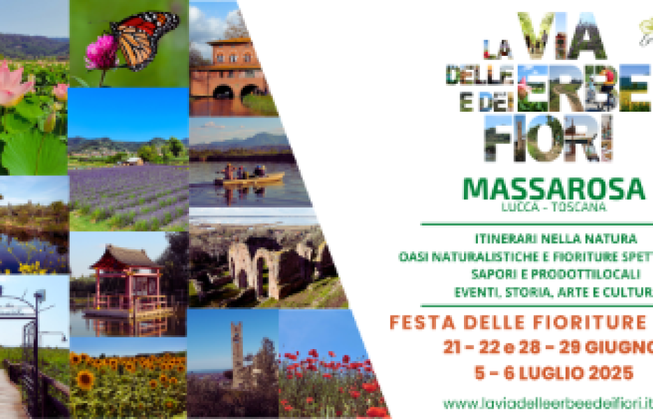 Festa delle Fioriture sulla Via delle Erbe e dei Fiori