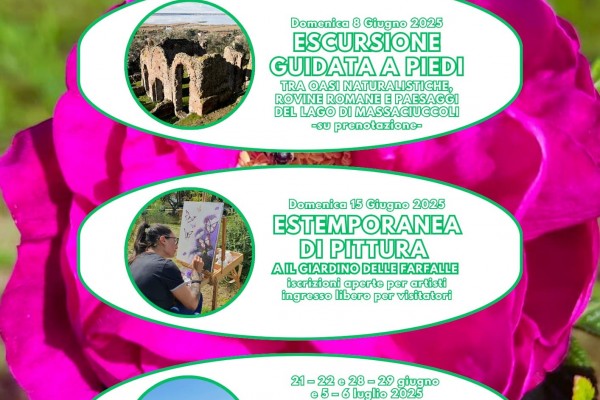Escursione guidata a piedi