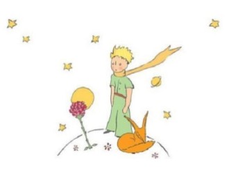 Il piccolo principe burattini