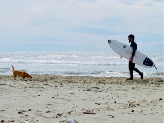 Surf Time: Spring Edition