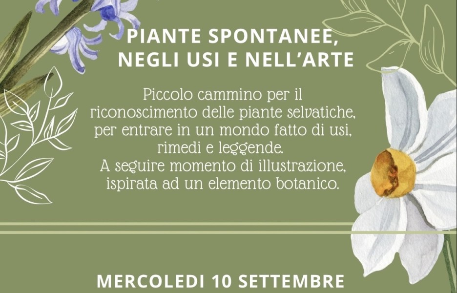 Piante spontanee, negli usi e nell'arte