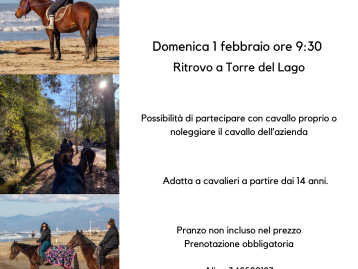 Trekking a cavallo sul mare