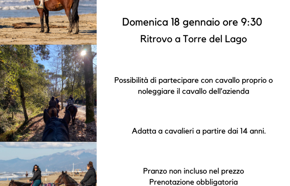 Trekking a cavallo sul mare