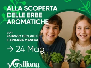 Alla scoperta delle erbe aromatiche