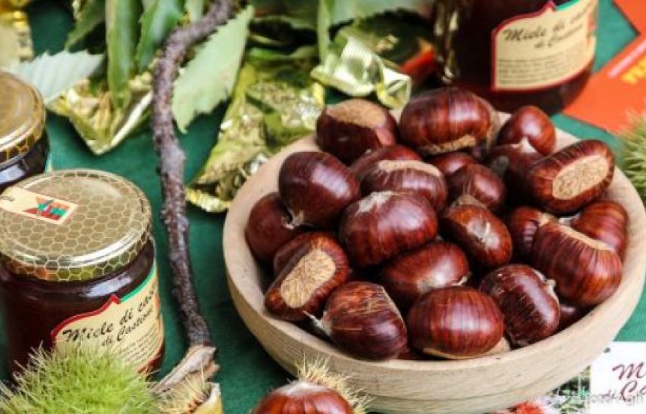 Sagra della Mondina e del Quartuccio