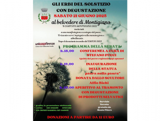 Gli erbi del solstizio