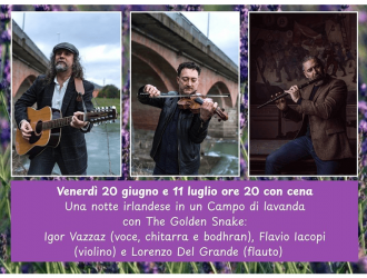 Una notte irlandese | Lavanda di Massarosa