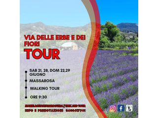 Via delle Erbe e dei fiori tour