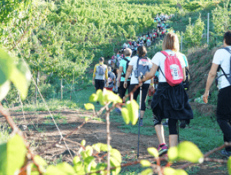 A spasso nella Preistoria | Camaiore