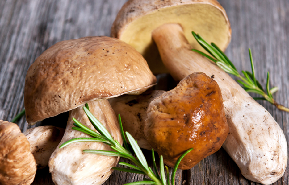 Sagra del Fungo Porcino e del Tartufo