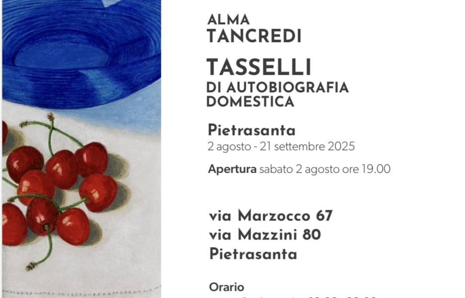 TASSELLI DI AUTOBIOGRAFIA DOMESTICA | Personale di ALMA TANCREDI